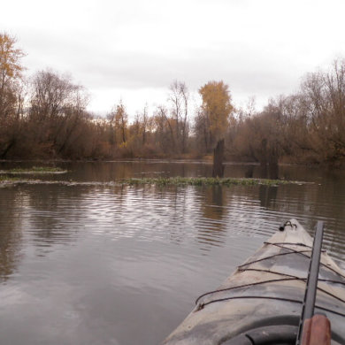 Goose Hunting