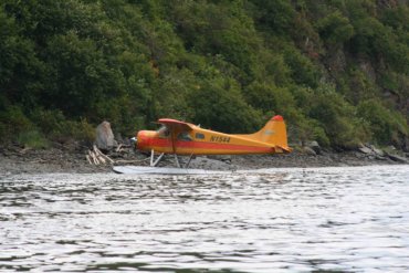 Pumpkin Beaver Float Plane