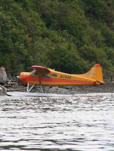 Pumpkin Beaver Float Plane