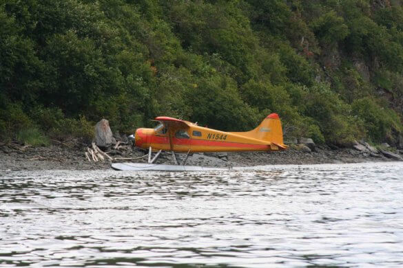 Pumpkin Beaver Float Plane from Alaska fishing with bears trip