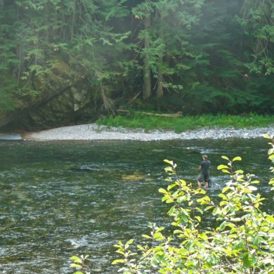 St. Joe River fly fishing