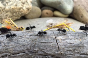 best trout fly ant