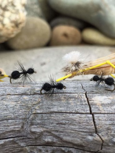best trout fly ant