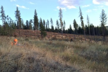 hunting with binoculars