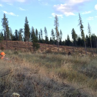 hunting with binoculars