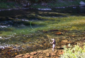 getting started fly fishing