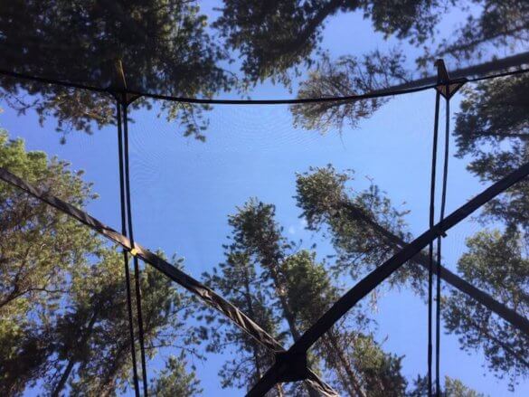 daybreak 6 family tent view through mesh