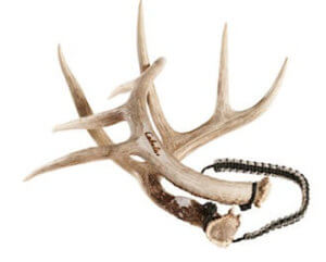 This deer rut rattling image shows the Cabela's Real Rack Rattling Antlers.
