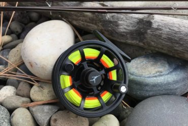 echo ion fly reel review