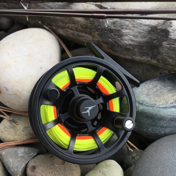 echo ion fly reel review
