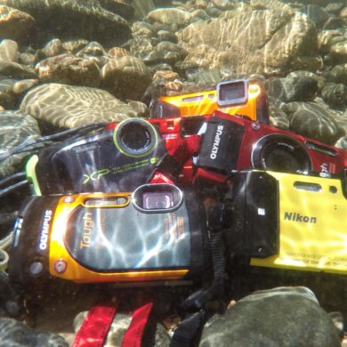 This image shows five of the best waterproof cameras underwater.