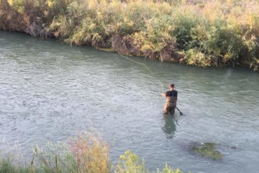 This image shows the Frogg Toggs Hellbenders fishing waders in action fly fishing on a river.