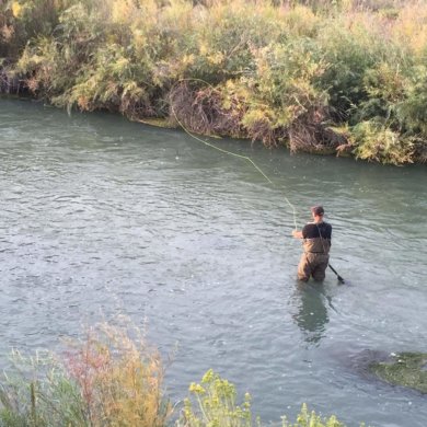 This image shows the Frogg Toggs Hellbenders fishing waders in action fly fishing on a river.