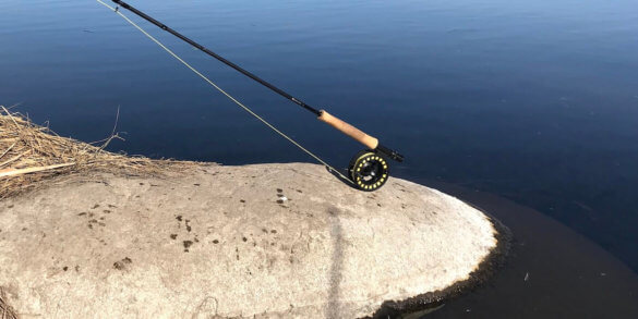 This photo shows the Sage Foundation fly rod and reel outfit on a rock near a stream.