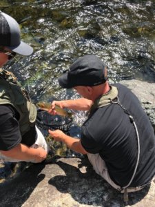 This photo shows two fly fishermen with a cutthroat trout.