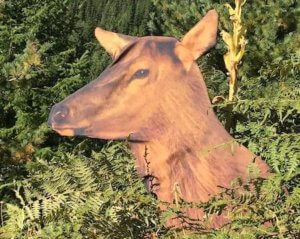 This bowhunting gift idea photo shows the Heads Up Cow Elk Decoy.