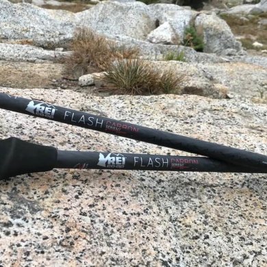 This photo shows the The REI Co-op Flash Carbon Trekking Poles on a rock outside.