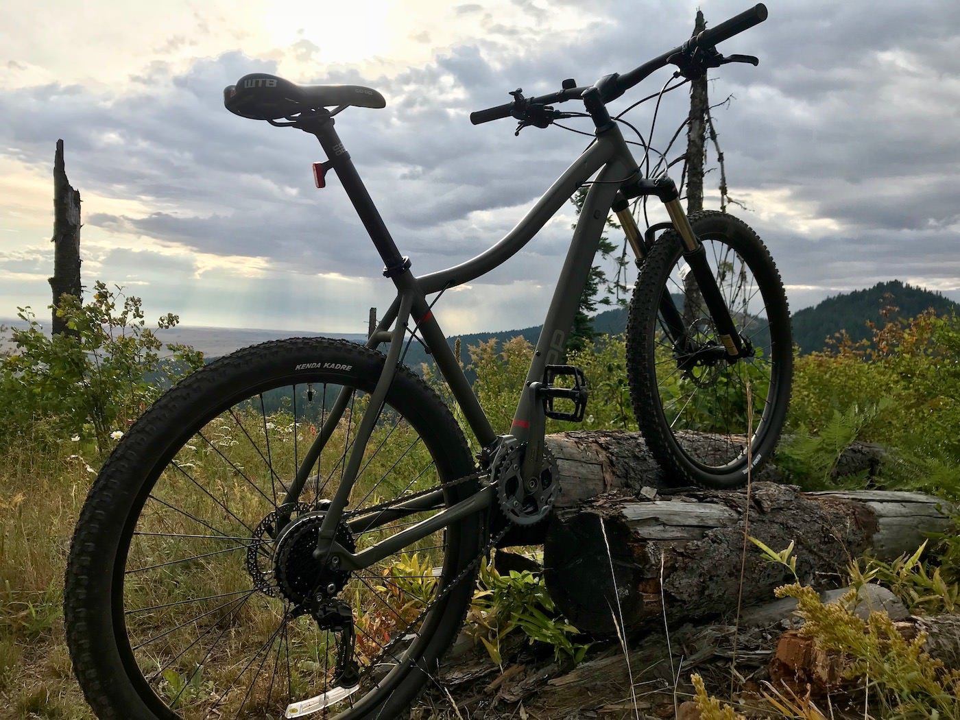 This review photo shows the REI Co-op Cycles DRT 1.2 mountain bike outside.