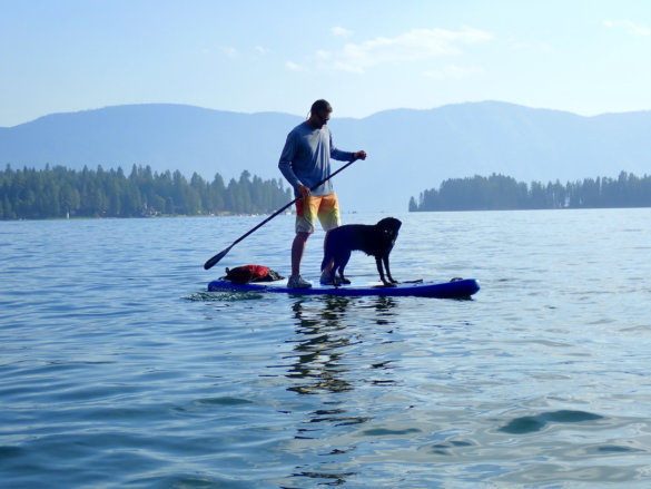 This photo shows the author stand-up paddleboarding with a dog on a lake.