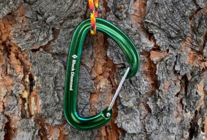 This photo shows the Black Diamond LiteWire Carabiner.