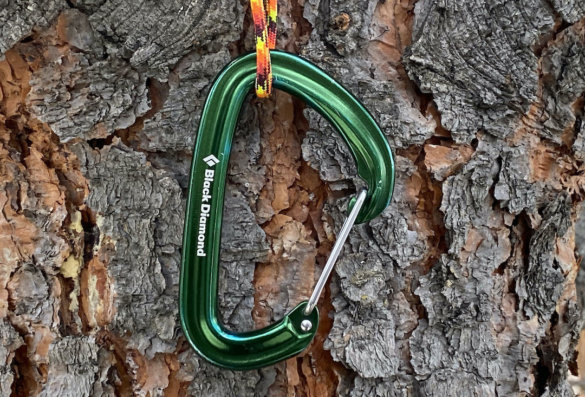 This photo shows the Black Diamond LiteWire Carabiner.