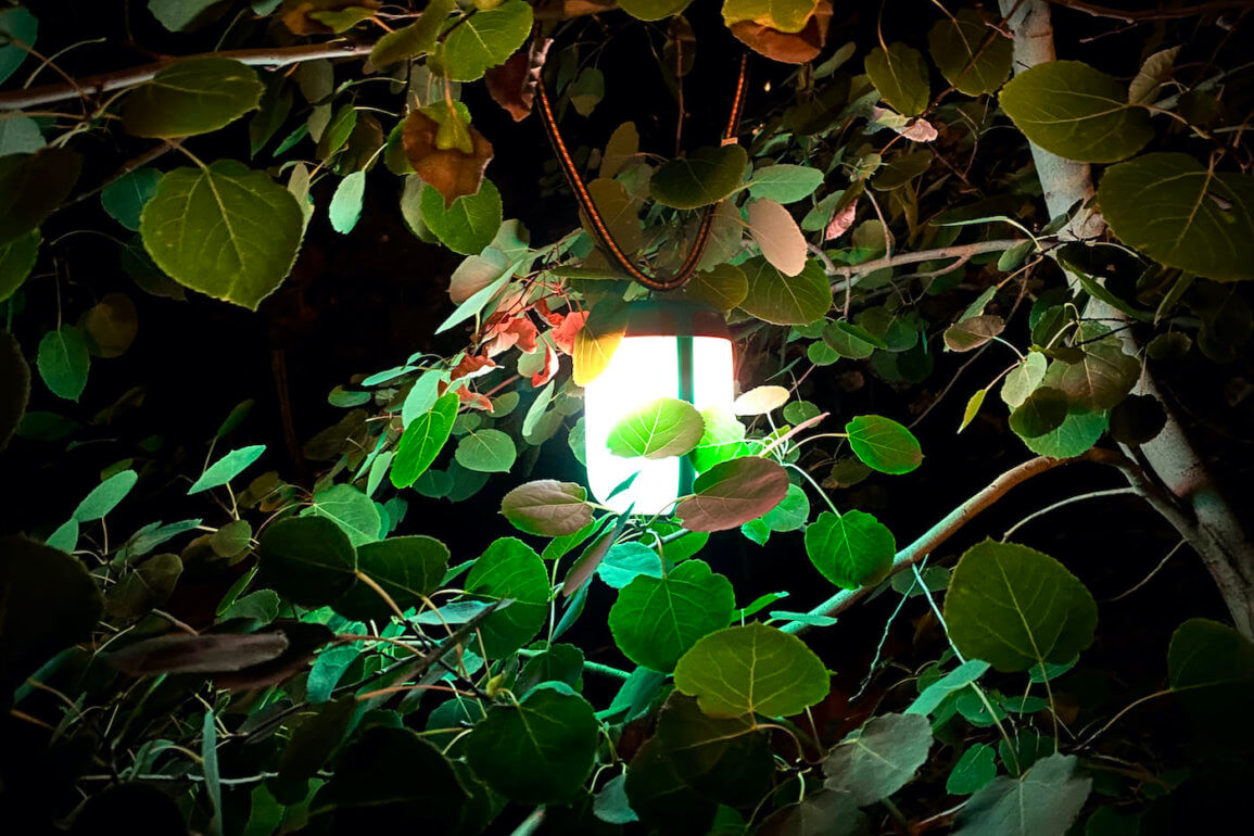 This review photo shows the BioLite AlpenGlow 500 hanging in an aspen tree at night.