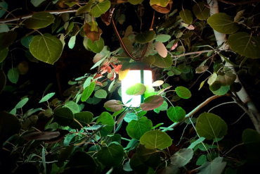 This review photo shows the BioLite AlpenGlow 500 hanging in an aspen tree at night.