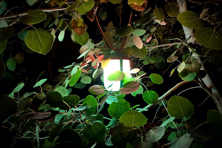 This review photo shows the BioLite AlpenGlow 500 hanging in an aspen tree at night.