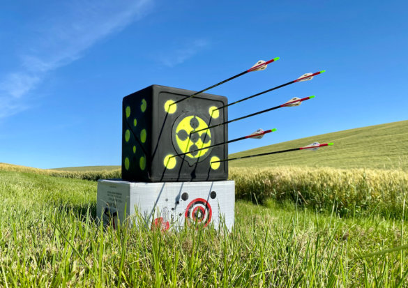 This photo shows the Rinehart RhinoBlock Target with arrows shot into it with a blue sky in the background.
