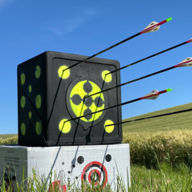 This photo shows the Rinehart RhinoBlock Archery Target in a field with arrows in it during the start of the testing review process by the author.