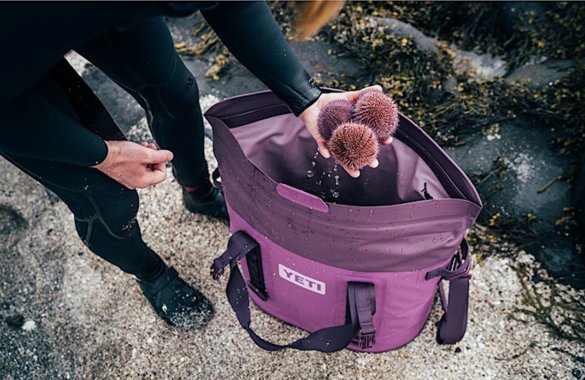 This photo shows the YETI Nordic Purple M30 Soft Cooler with sea urchins near it.