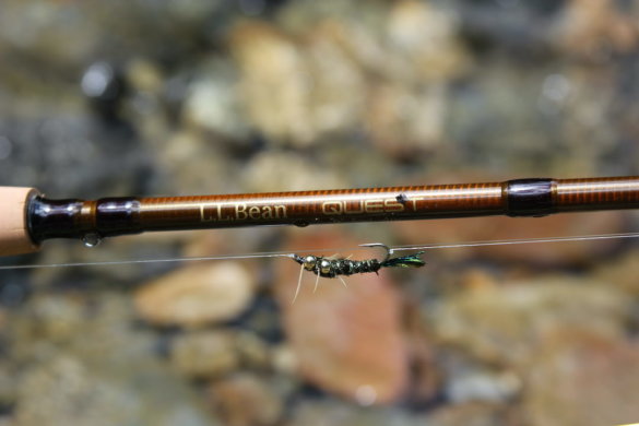 This photo shows a closeup of the Quest fly rod blank.