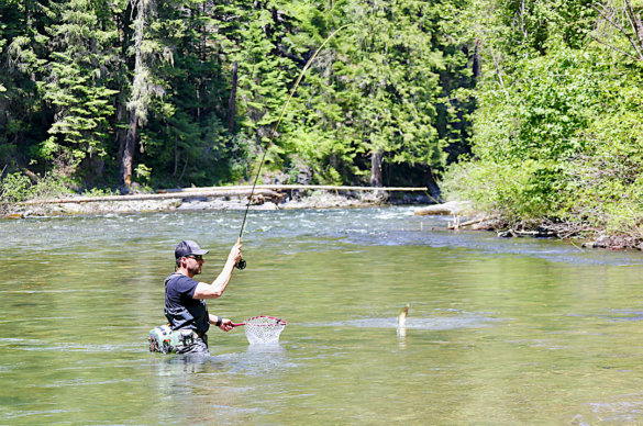 This photo shows the author catching a trout while fly fishing in a river with the L.L.Bean Quest Fly Rod Outfit.