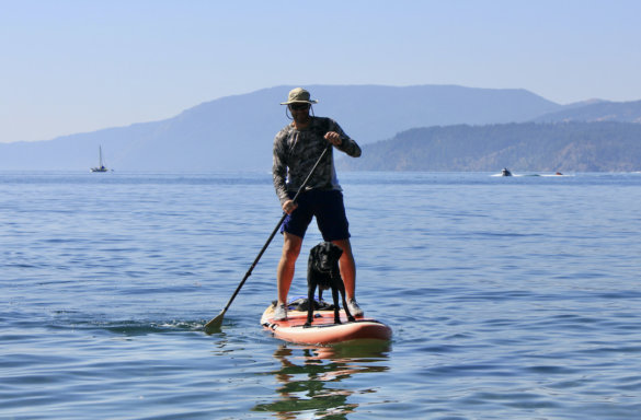 This photo shows the author testing the ISLE Pioneer 2.0 Inflatable Paddle Board while paddling on a lake with a dog.