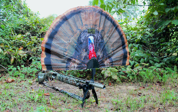This photo shows the Mojo Outdoors Tail Chaser Max Decoy for turkey hunting.