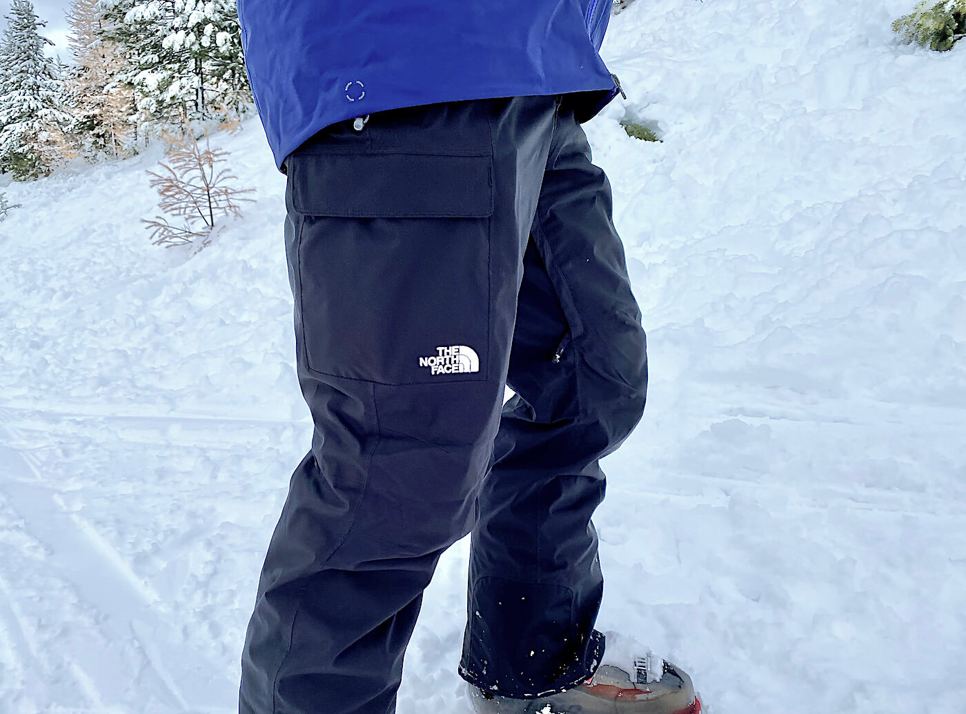 The North Face Freedom Ski Pants Review
