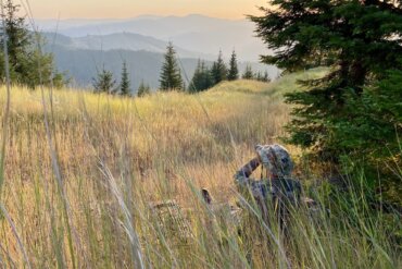 This photo shows a hunter in a meadow waiting for dusk to come.