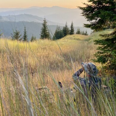 This photo shows a hunter in a meadow waiting for dusk to come.
