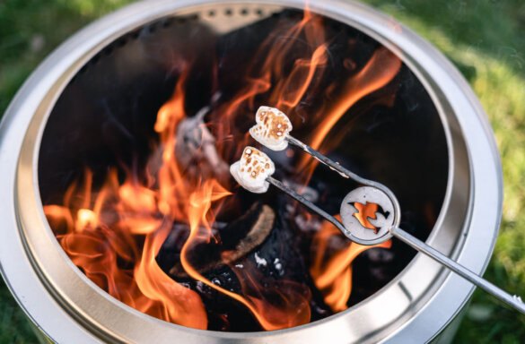 This photo shows the Solo Stove Sticks for roasting marshmallows over a fire.