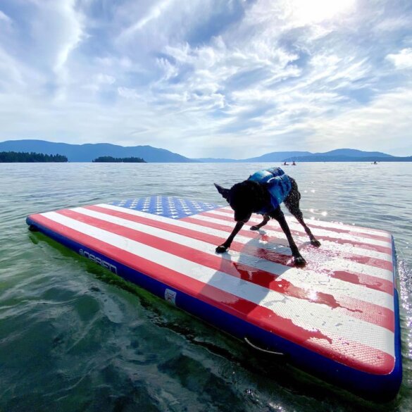 This review photo shows a dog standing on the O'Brien Runway Flag Edition Inflatable Float swim dock on a lake.