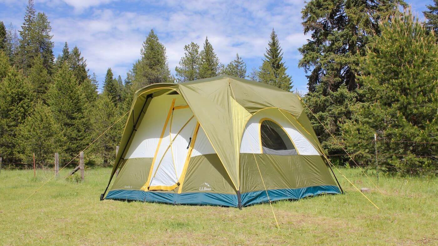 Acadia 6 Tent pitched in a sunny meadow.